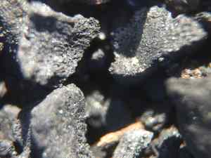 charcoal close up